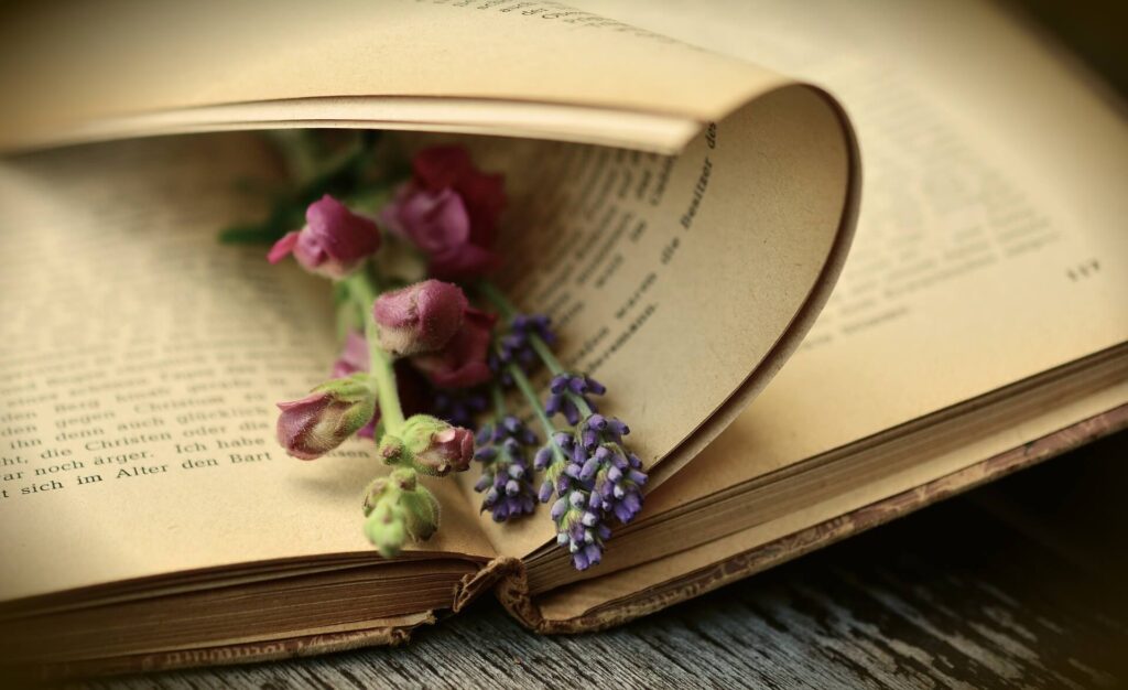 Ebooks-fehlgeburt-gedankenbalsam